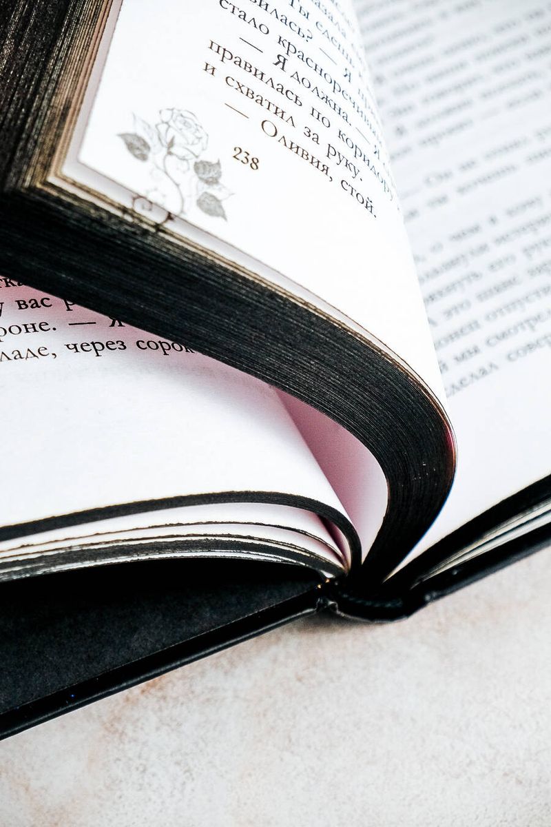 The Stolen Novel