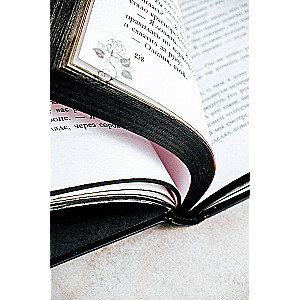 The Stolen Novel
