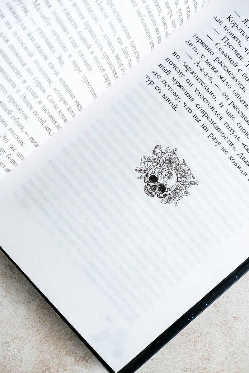 The Stolen Novel