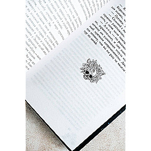 The Stolen Novel