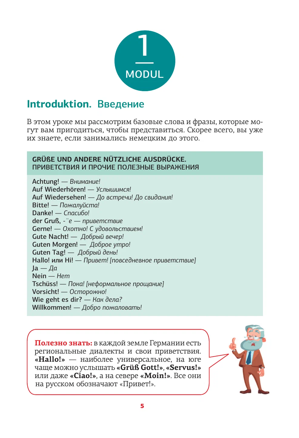 German Language. Memorization Trainer for All Words for Beginners