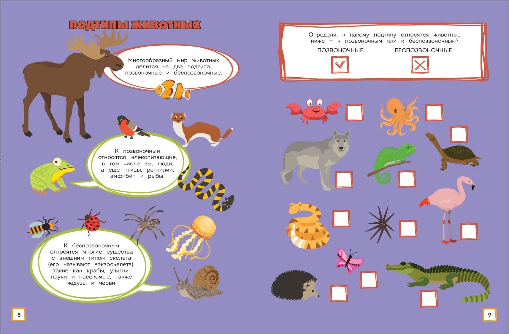 In the Animal World. Games, Mazes, and Amazing Facts