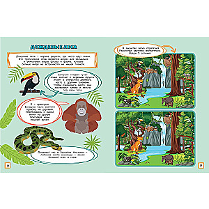 In the Animal World. Games, Mazes, and Amazing Facts