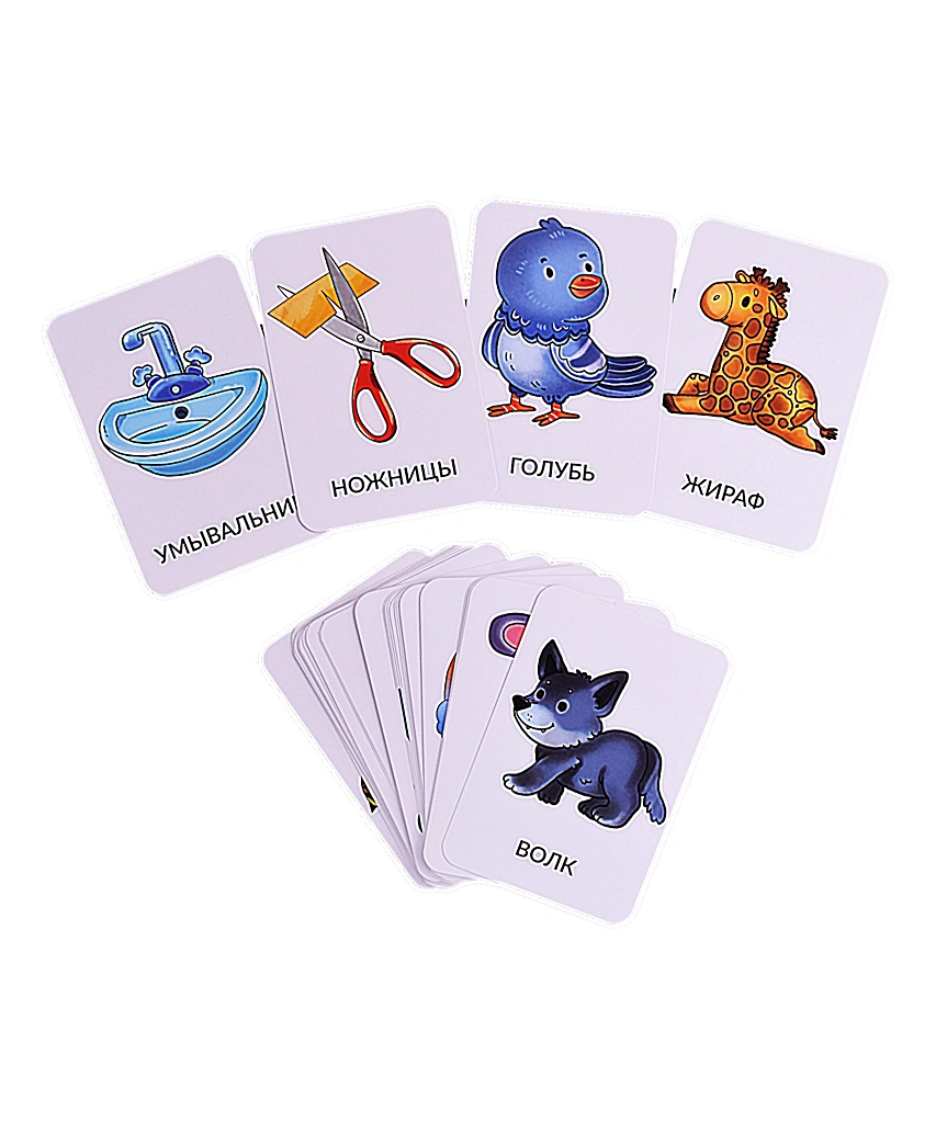 Set of Cards. The World Around