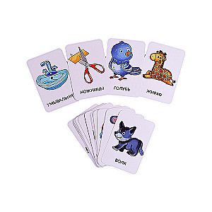 Set of Cards. The World Around