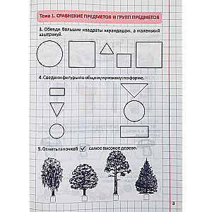 Development of Mathematical Abilities. 1st Grade