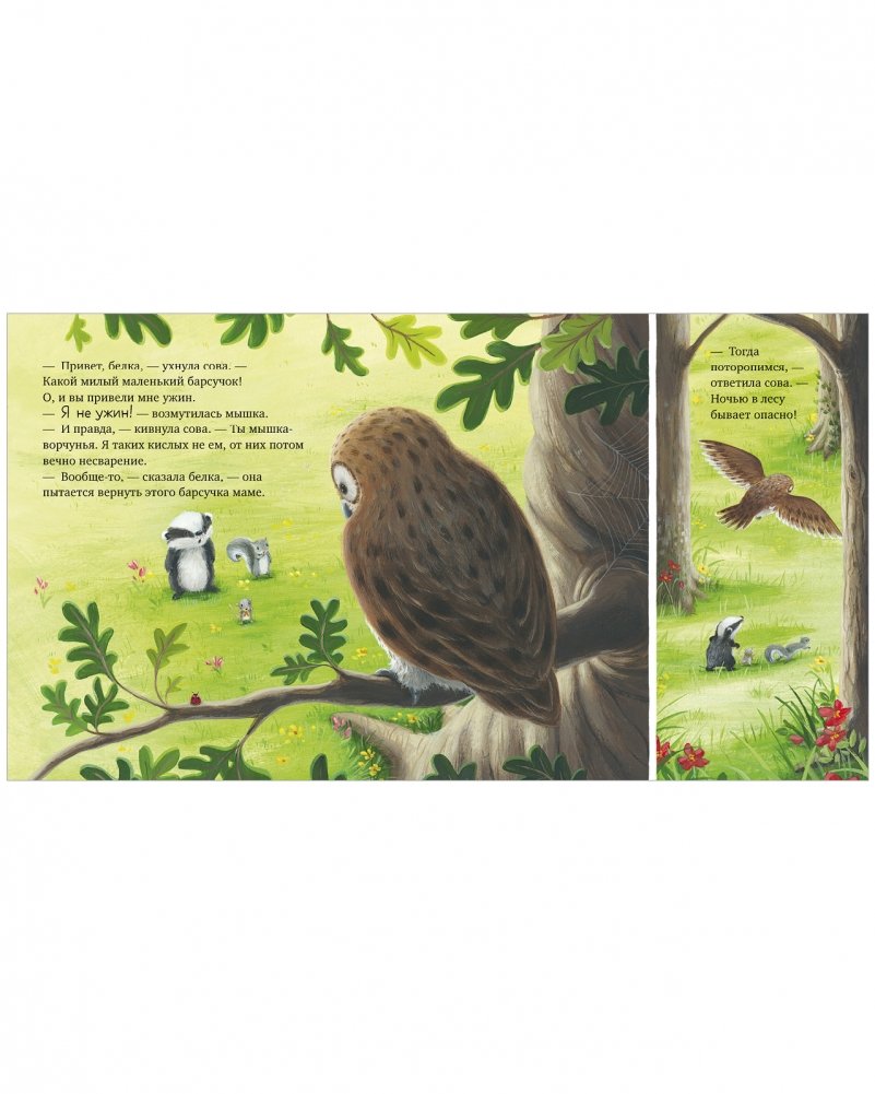 Picture Books. I'm Not a Grump!