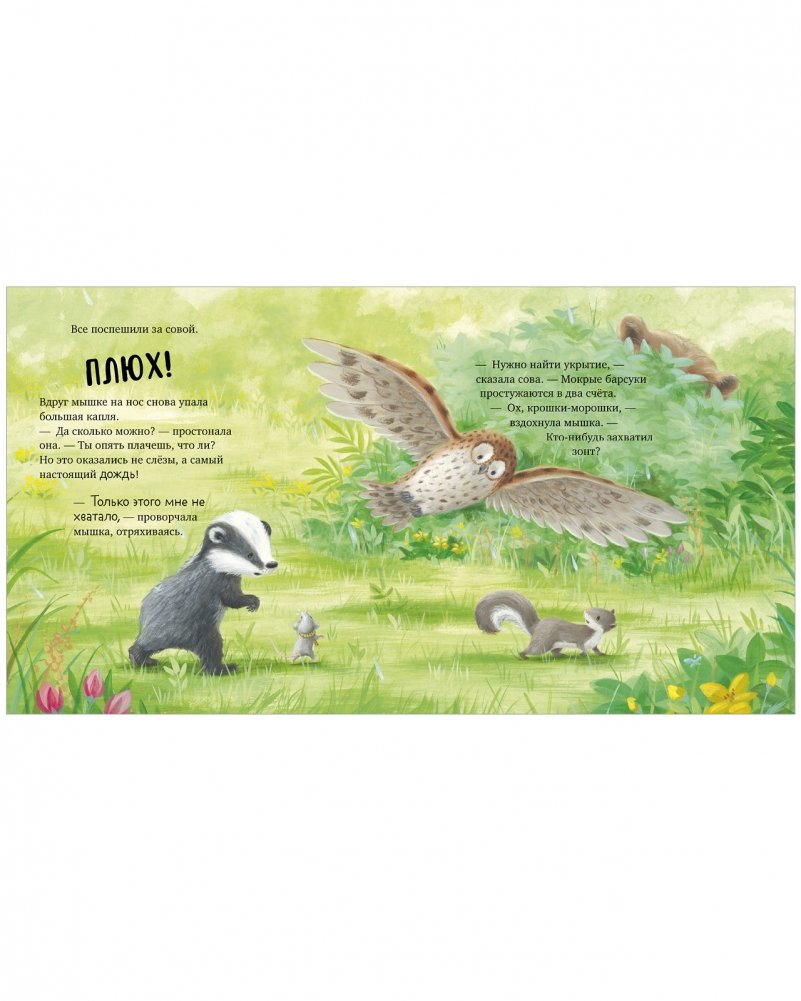 Picture Books. I'm Not a Grump!