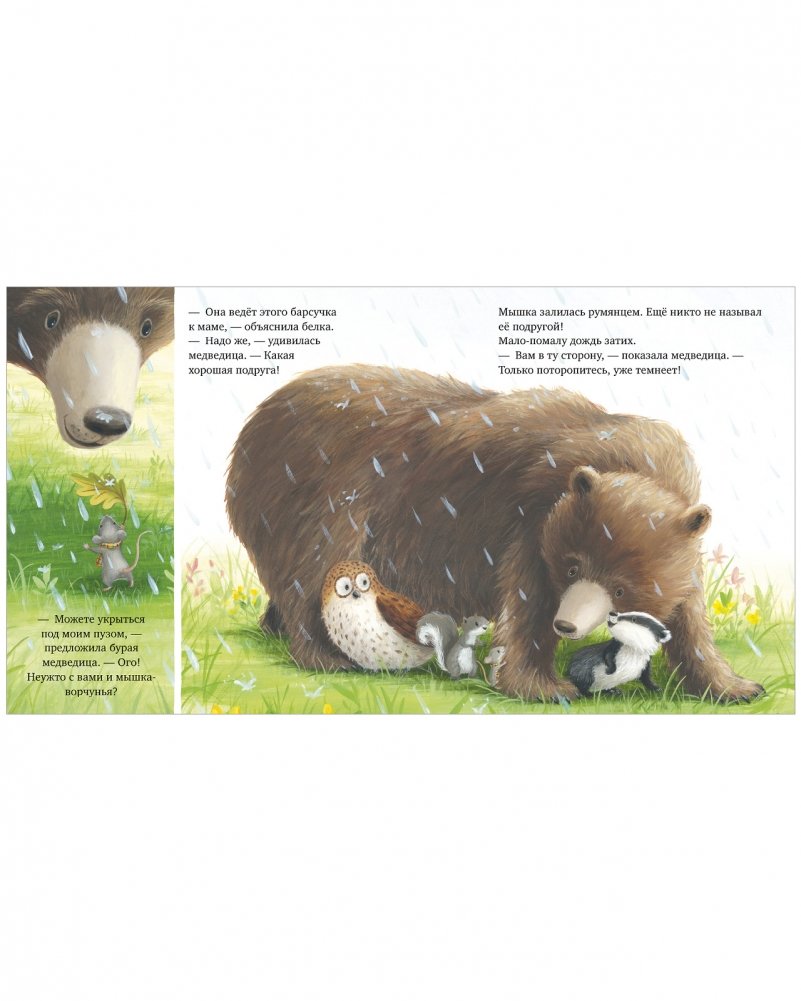 Picture Books. I'm Not a Grump!