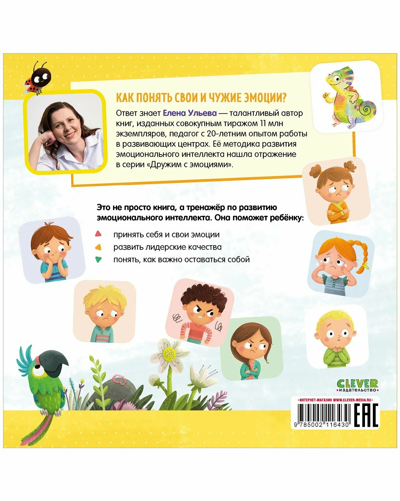 What are feelings? Developing emotional intelligence