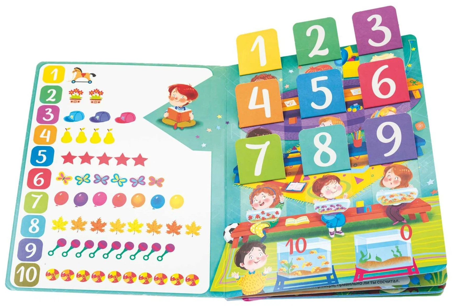 Counting. Colors. Shapes