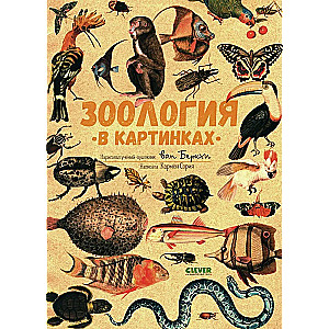 Удивительные энциклопедии. Зоология в картинках