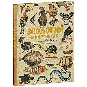 Удивительные энциклопедии. Зоология в картинках