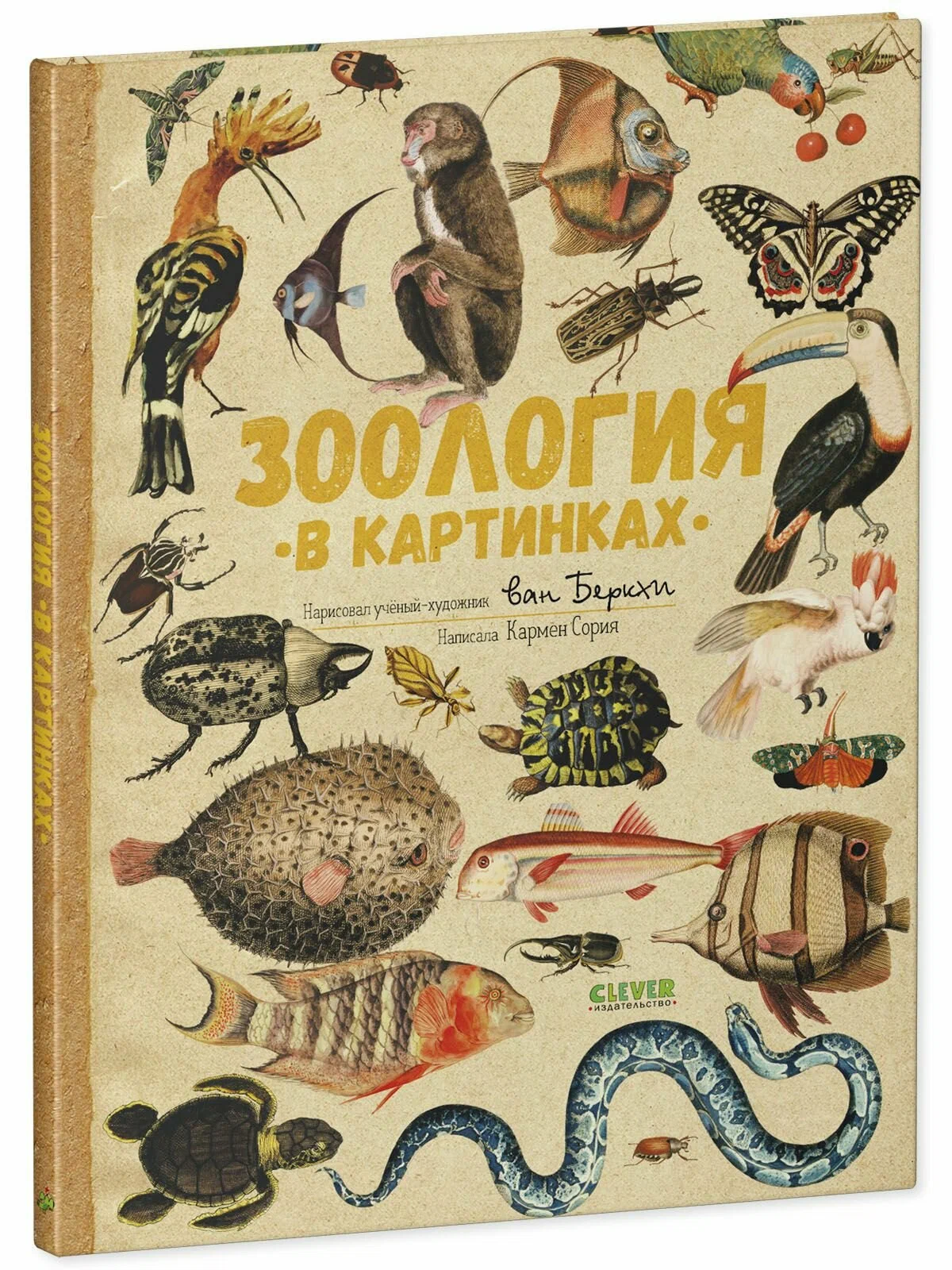 Удивительные энциклопедии. Зоология в картинках