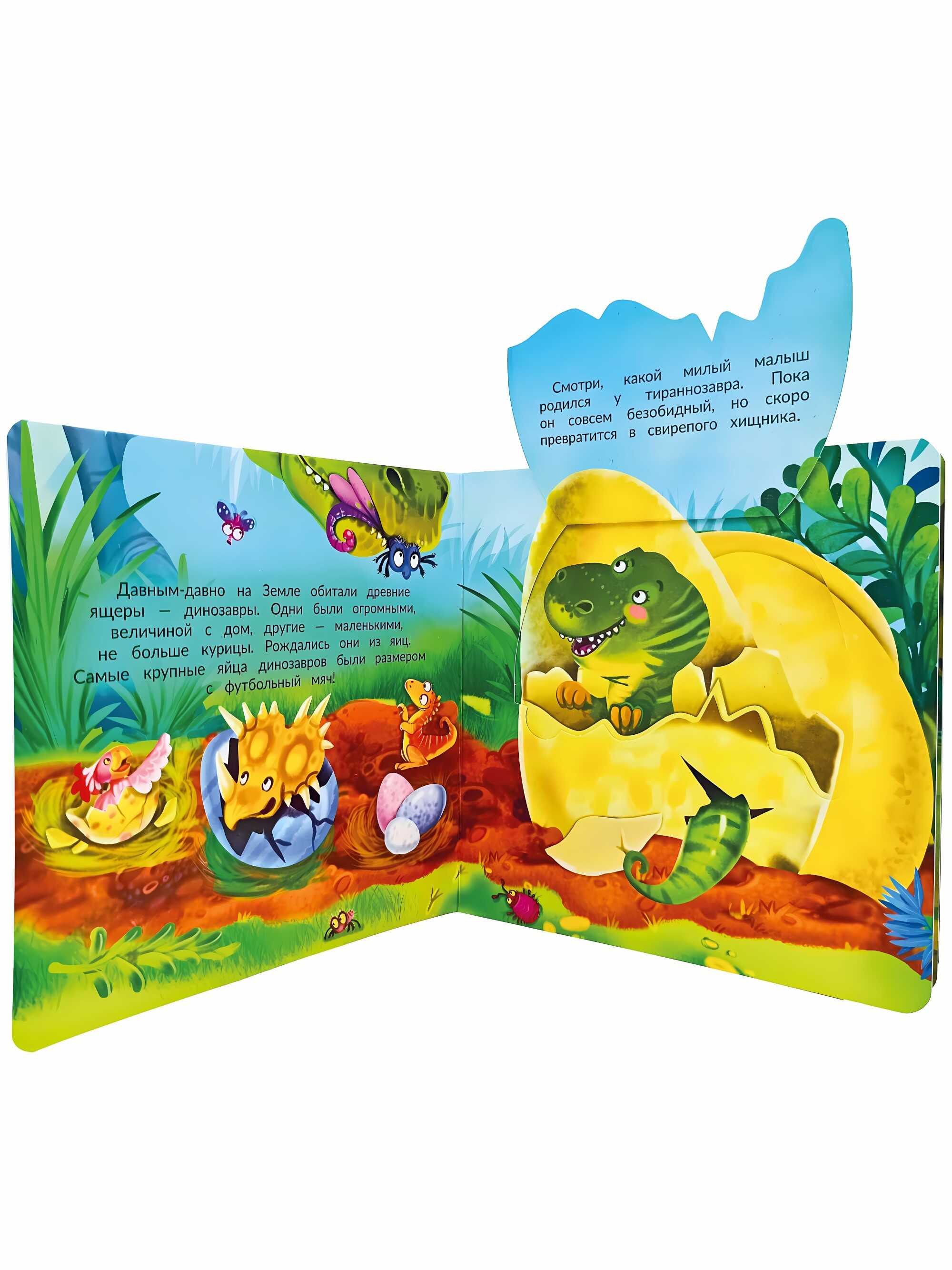 Book with Double Windows DINOSAURS