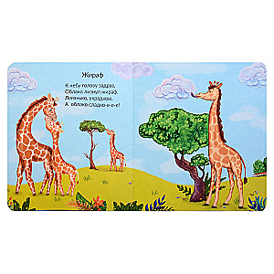 We are walking in the zoo