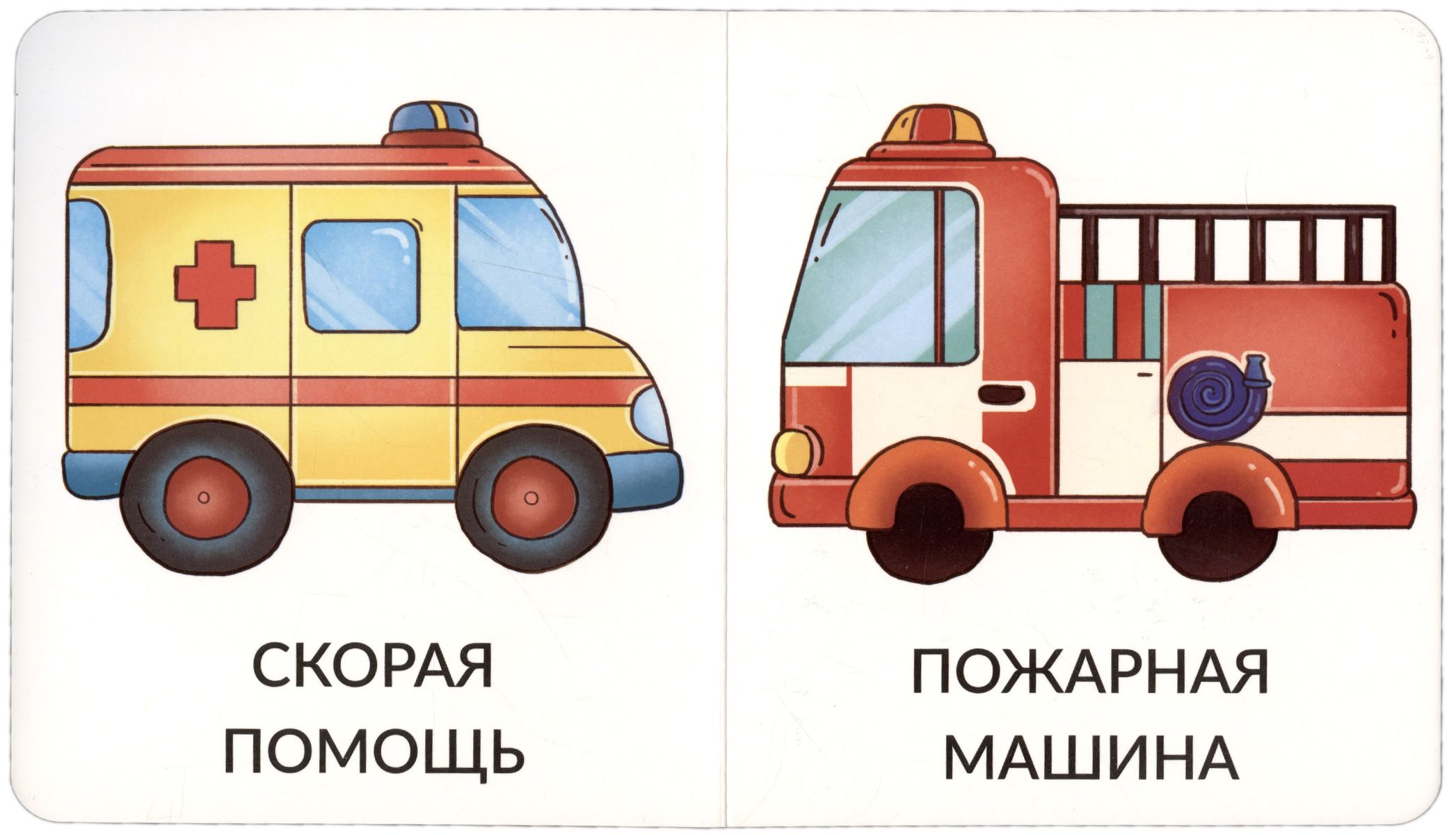 My First Words. Transport