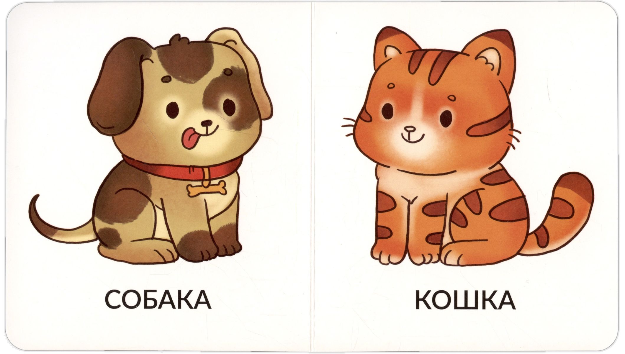 My First Words. Pets. 1-2 Years