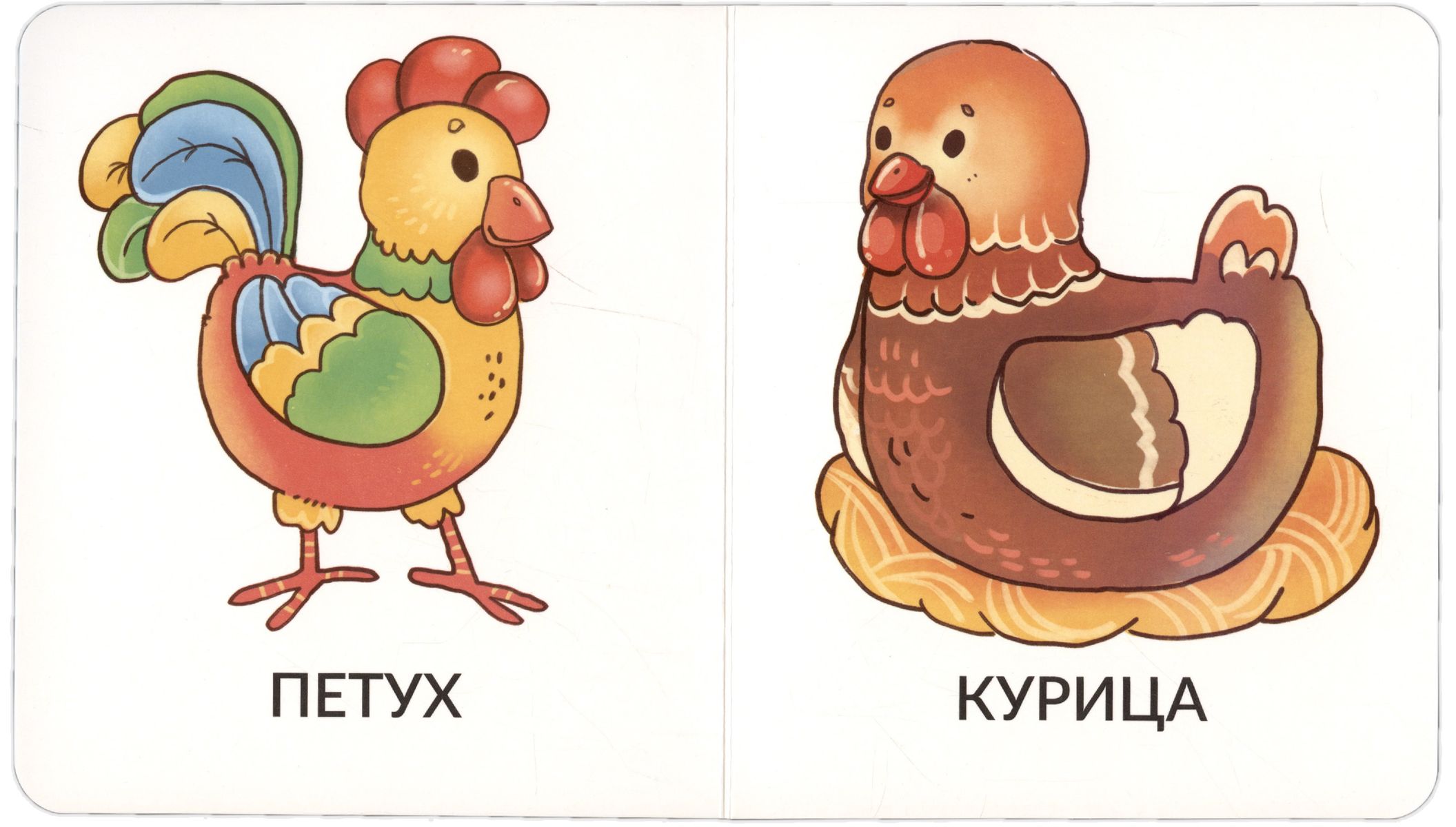 My First Words. Pets. 1-2 Years