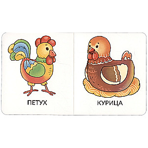 My First Words. Pets. 1-2 Years