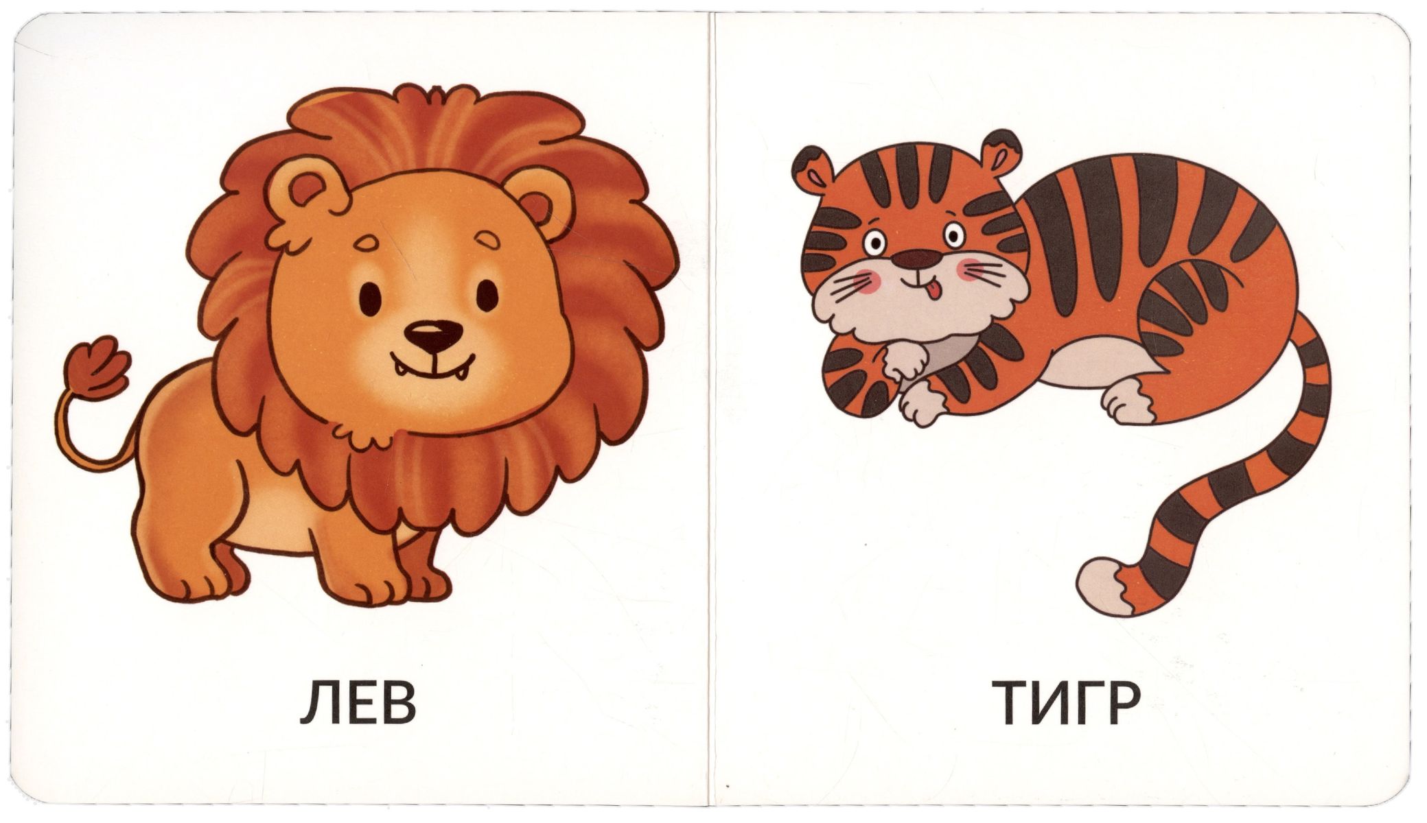 My First Words. Wild Animals. 1-2 Years
