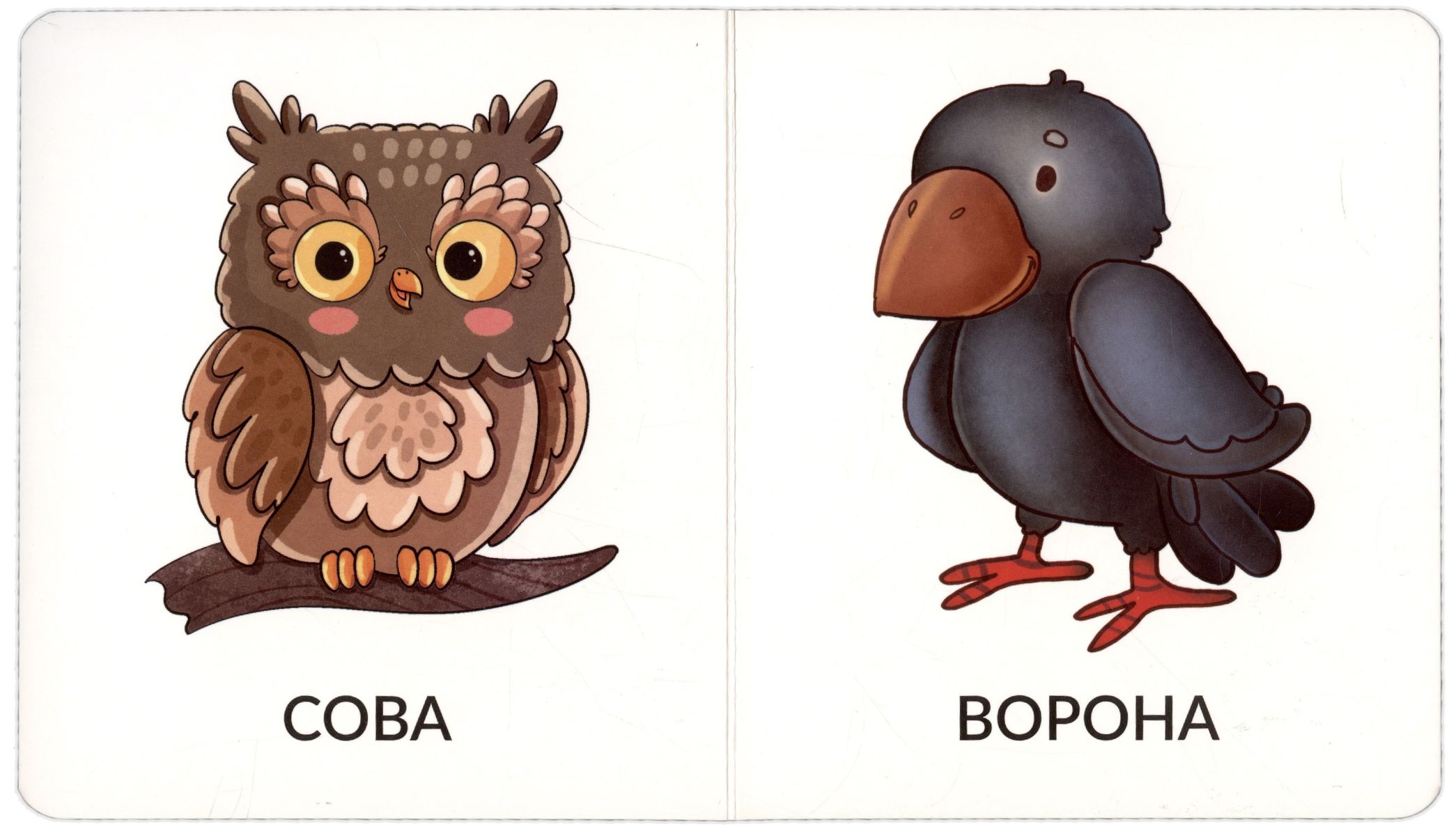 My First Words. Wild Animals. 1-2 Years
