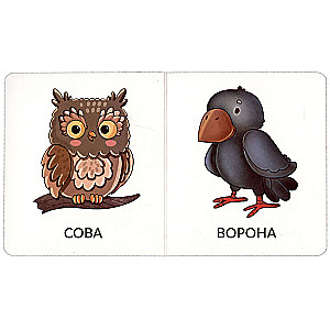 My First Words. Wild Animals. 1-2 Years