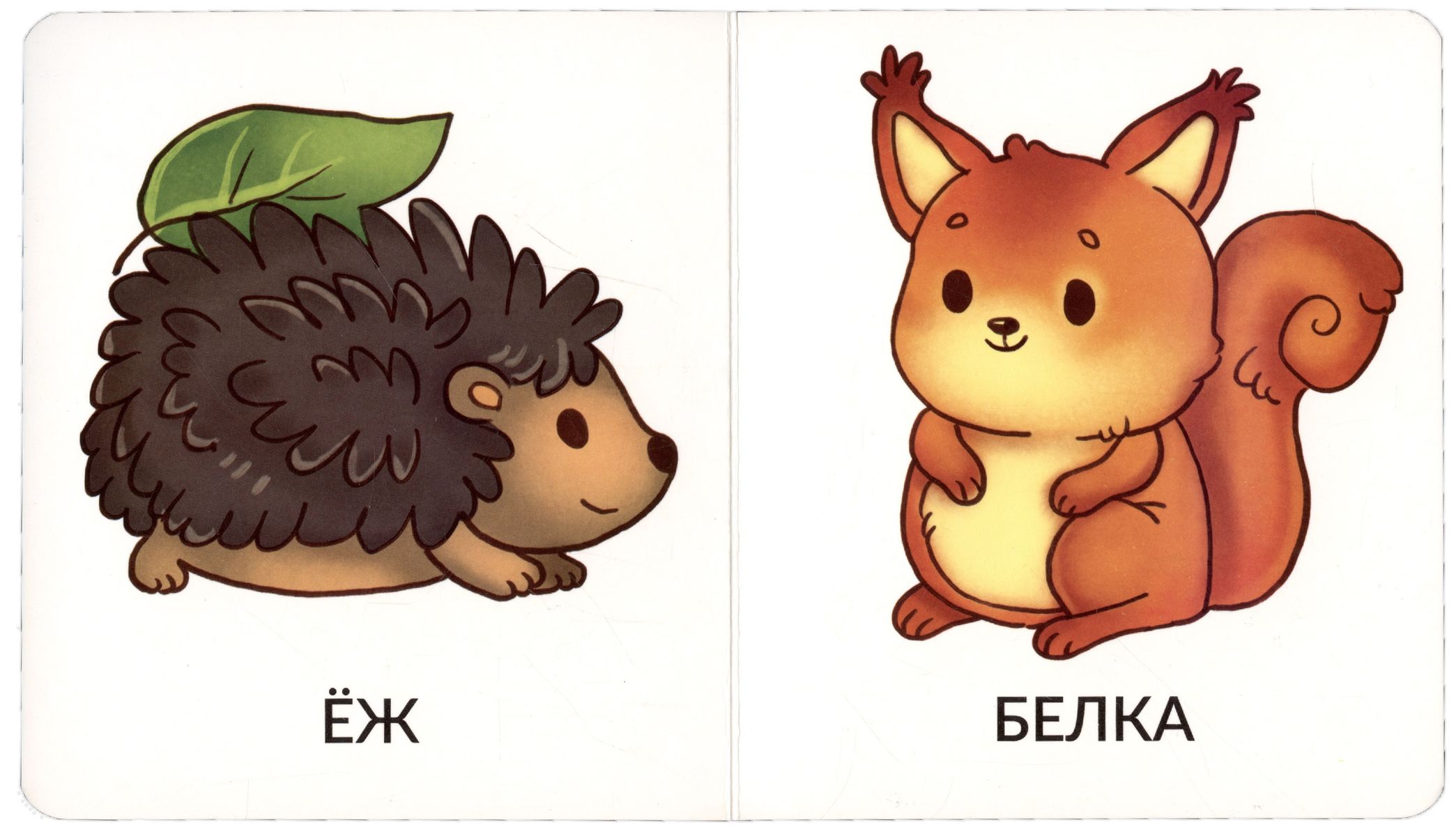 My First Words. Wild Animals. 1-2 Years
