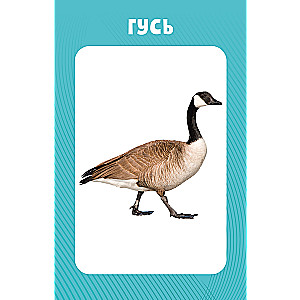 Educational Cards for Babies. 100 Animals