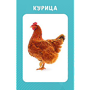 Educational Cards for Babies. 100 Animals