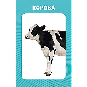 Educational Cards for Babies. 100 Animals