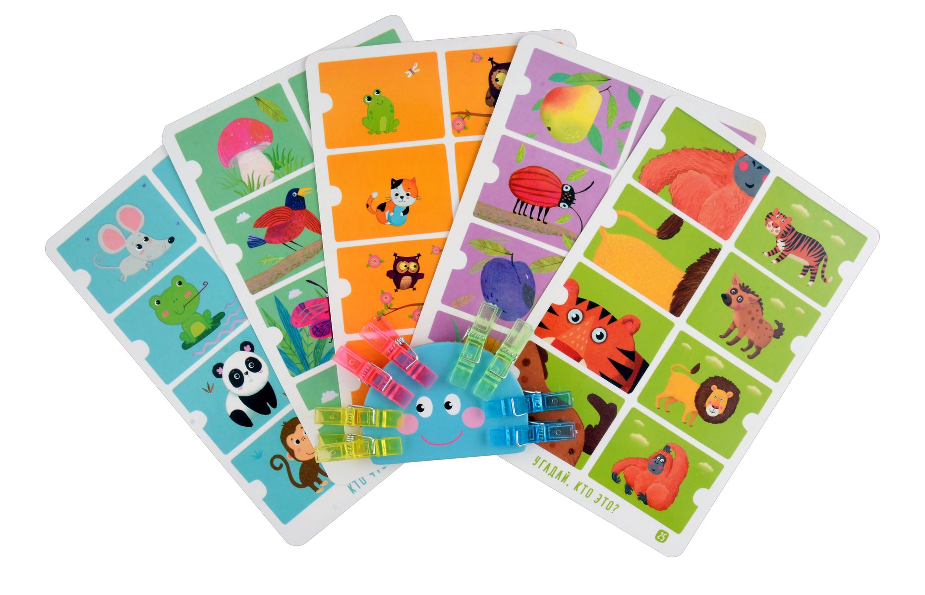 IQ Reusable Cards with Clips. Funny Animals