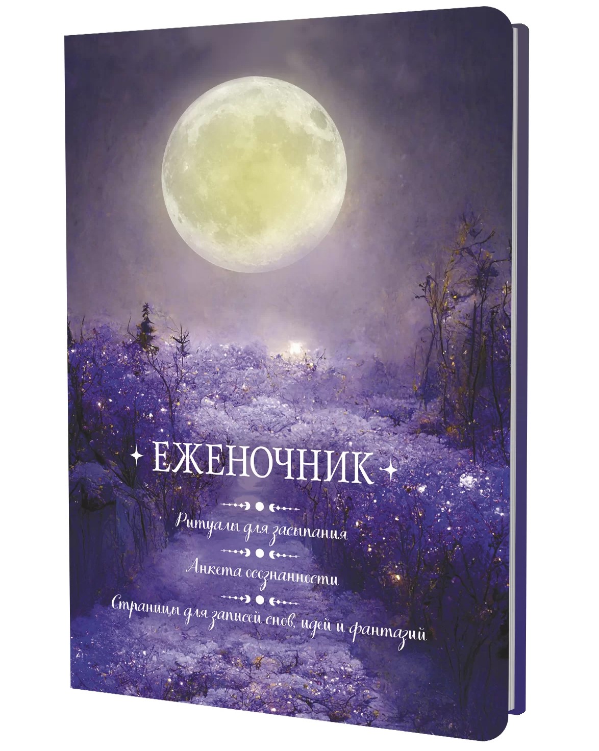 Planner (moon)