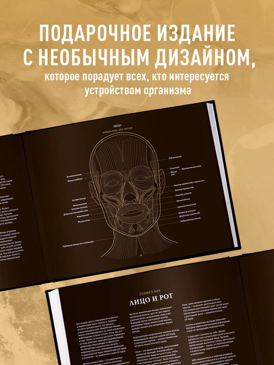 Anatomy in Black. A Medical Atlas for Lovers of Luxury and Style