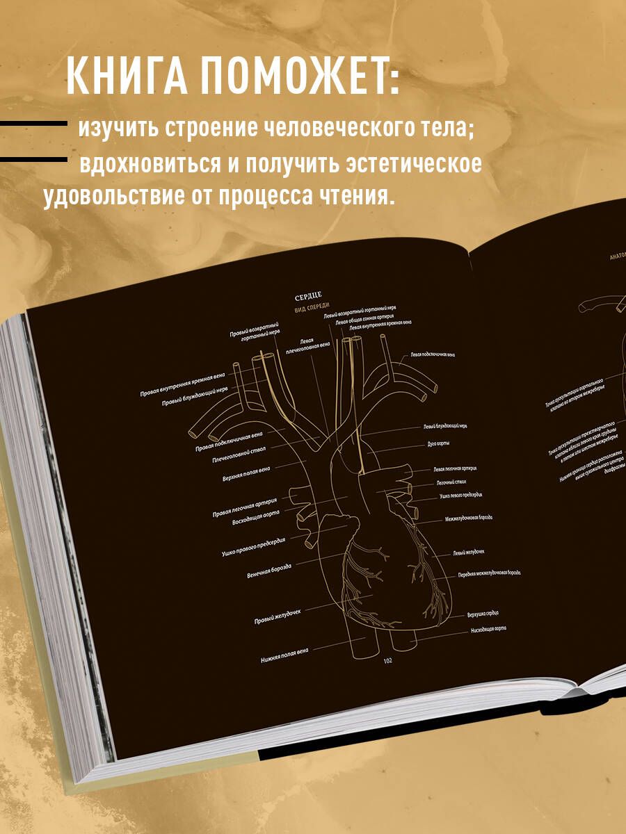 Anatomy in Black. A Medical Atlas for Lovers of Luxury and Style