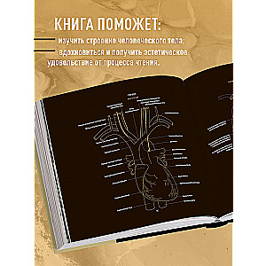 Anatomy in Black. A Medical Atlas for Lovers of Luxury and Style