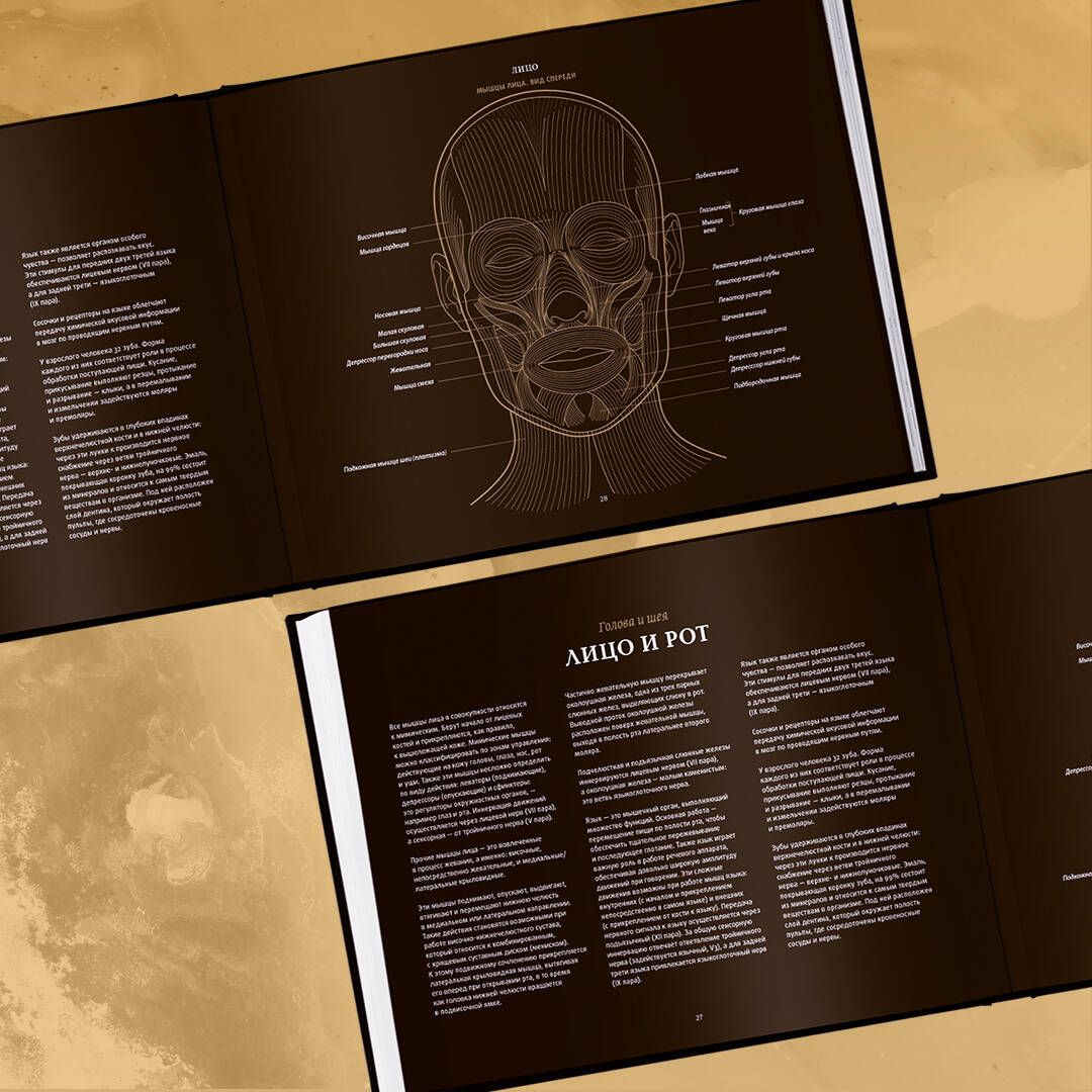 Anatomy in Black. A Medical Atlas for Lovers of Luxury and Style