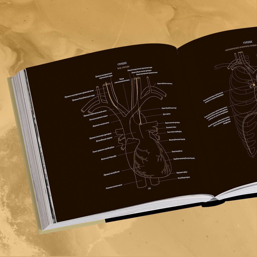 Anatomy in Black. A Medical Atlas for Lovers of Luxury and Style