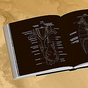 Anatomy in Black. A Medical Atlas for Lovers of Luxury and Style