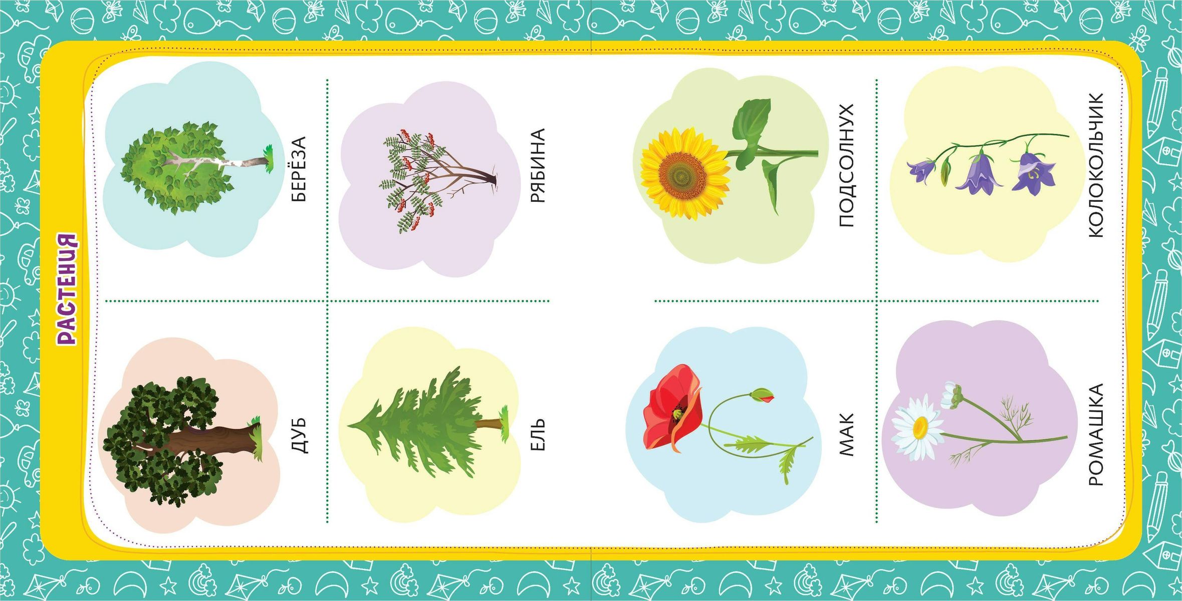 The Baby's First Knowledge. Educational Posters