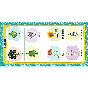 The Baby's First Knowledge. Educational Posters