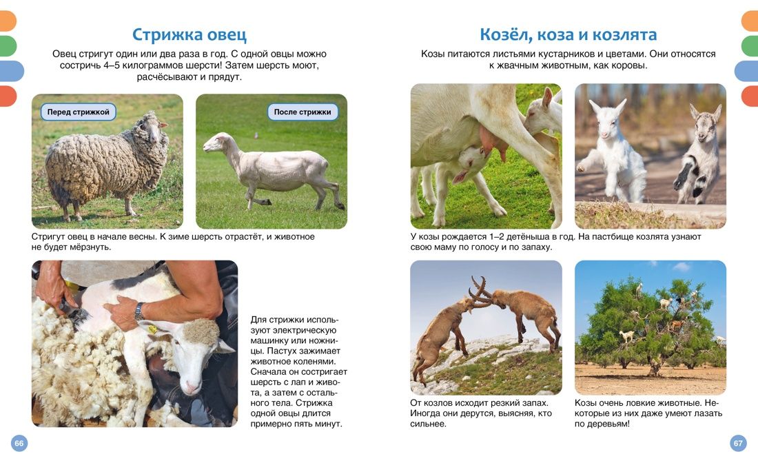 Useful machines and animals on the farm
