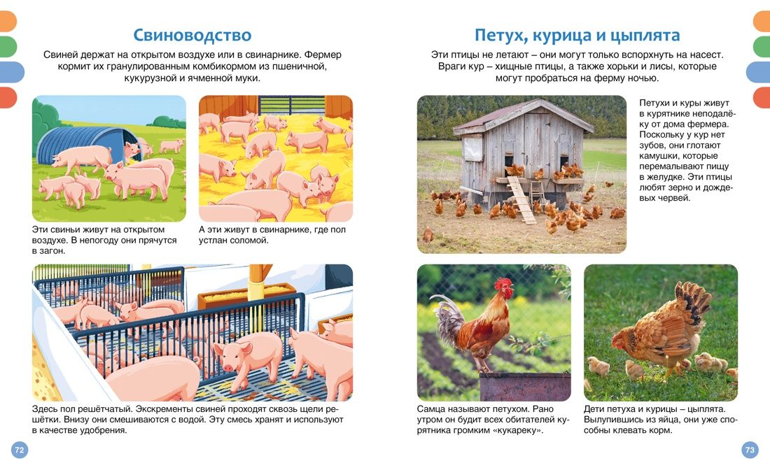 Useful machines and animals on the farm