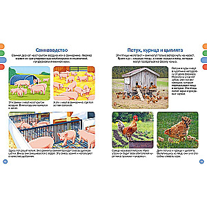 Useful machines and animals on the farm