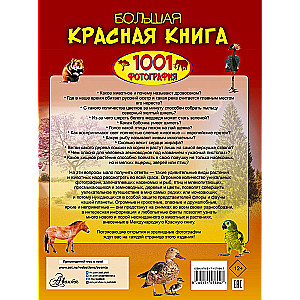 The Big Red Book. 1001 Photographs