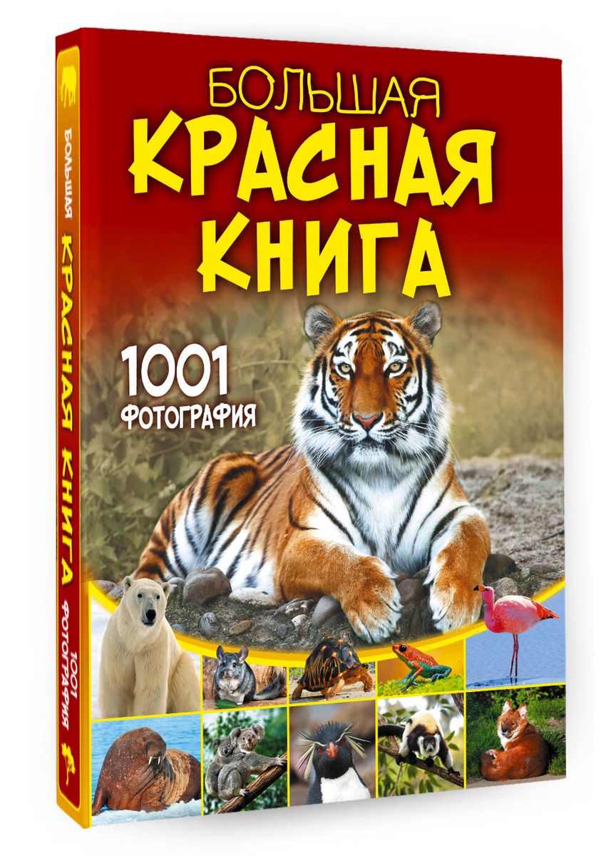 The Big Red Book. 1001 Photographs