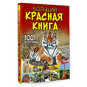 The Big Red Book. 1001 Photographs