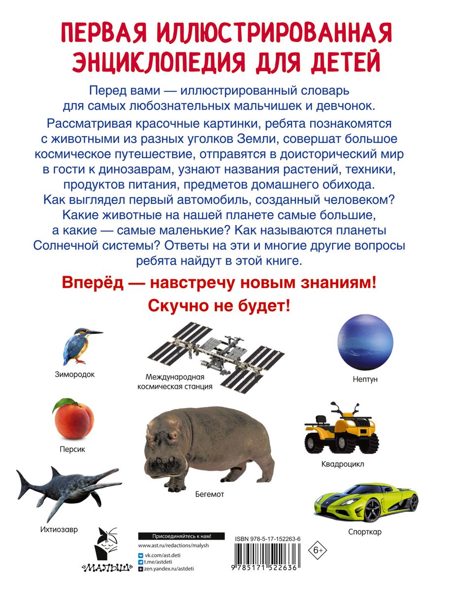 The First Illustrated Encyclopedia for Children