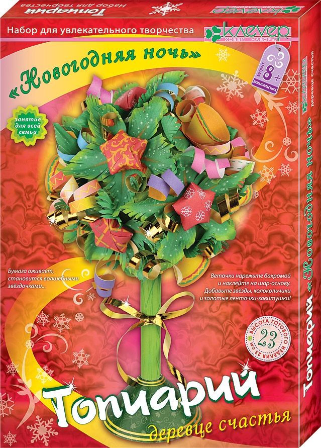 Set zur Herstellung eines Topiariums „Silvester-Nacht“