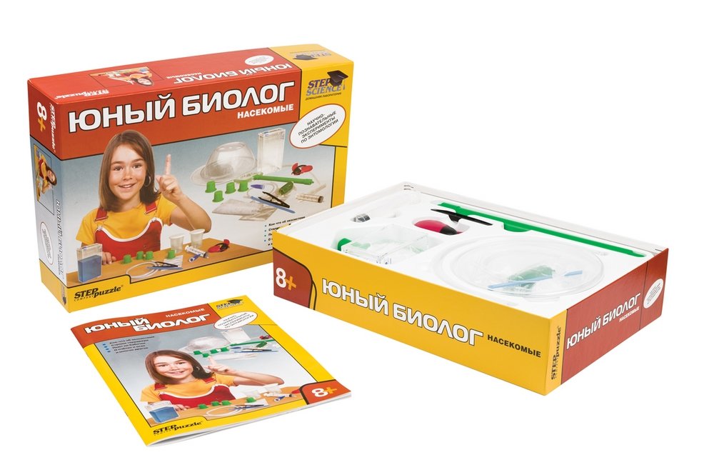 Domowa laboratoria Młodego biologa. Owady